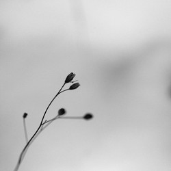 Similar image 8107169