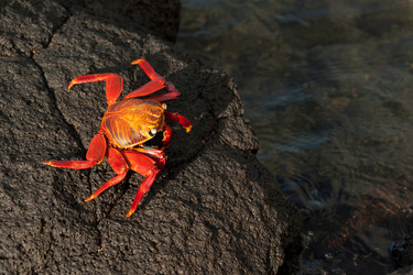 Similar image 8107175