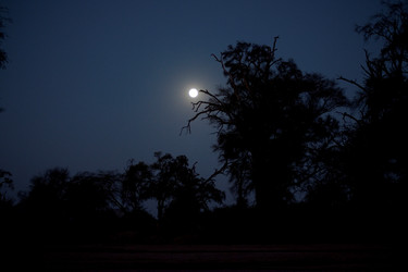 Similar image 8107177