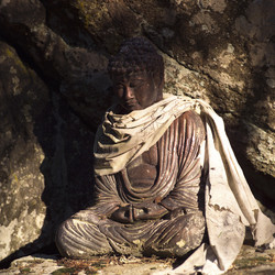 Similar image 8107180