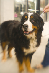 Similar image 8107209