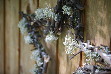 Similar image 8107210