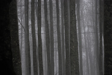 Similar image 8107214