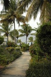 Similar image 8107218