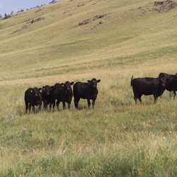 Similar image 8107242