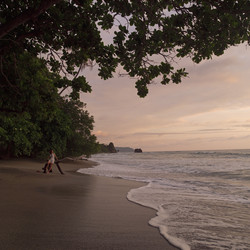 Similar image 8107244