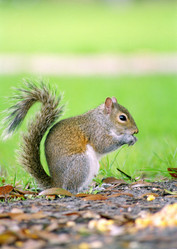 Similar image 8107248