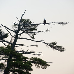 Similar image 8107250