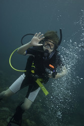 Similar image 8107251