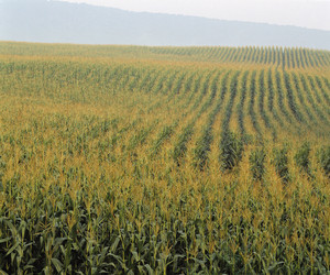 Similar image 8107280