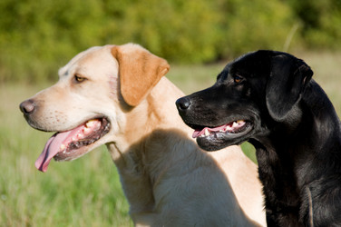 Similar image 8107286