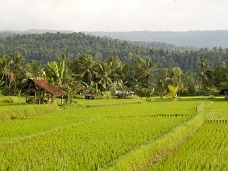 Similar image 8107294