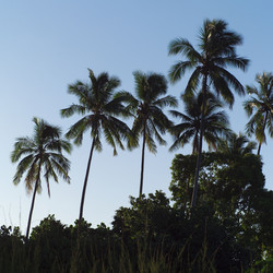 Similar image 8107303