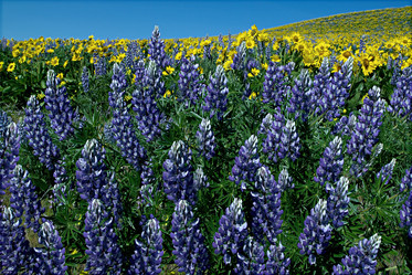 Similar image 8107323