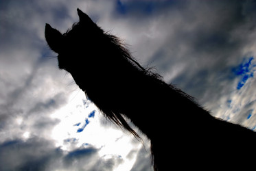 Similar image 8107330