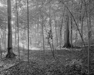 Similar image 8107359