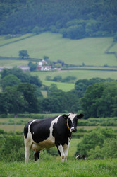 Similar image 8107361