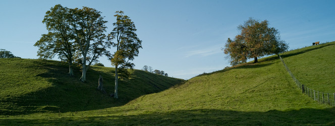 Similar image 8107374