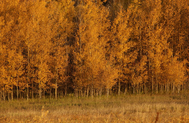 Similar image 8107376