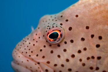 Similar image 8107378