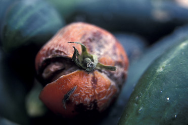 Similar image 8107401