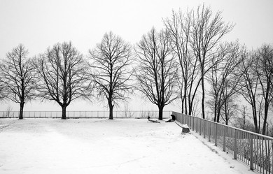 Similar image 8107408