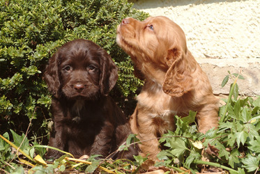 Similar image 8107418