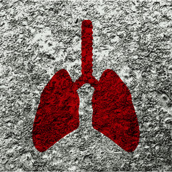 Similar image 8109447