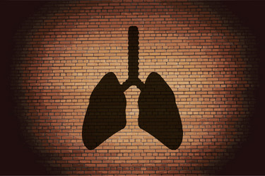 Similar image 8109829