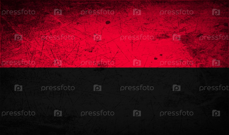 Фотография на тему Флаг ОУН-УПА с старой текстуре. Вектор | PressFoto