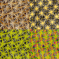 Similar image 8139328