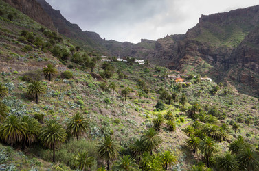 Similar image 8139982