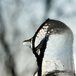 Similar image 8140096