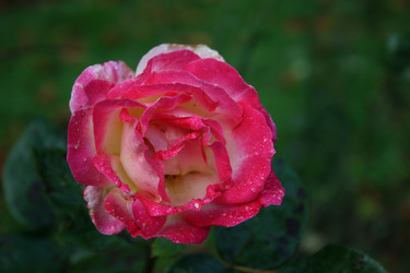 Similar image 8140098