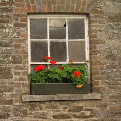 Similar image 8140104