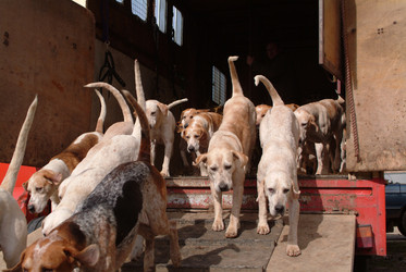 Similar image 8140146