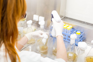 Similar image 8140237