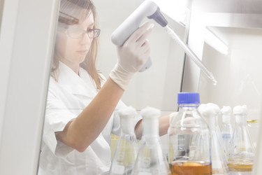 Similar image 8140264