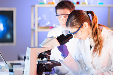 Similar image 8140324