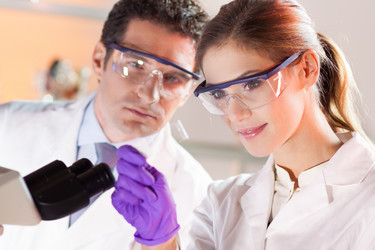 Similar image 8140441