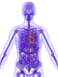 Similar image 8140869