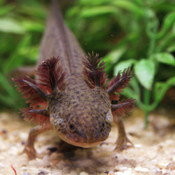 Similar image 8140879