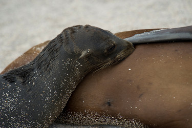 Similar image 8140890