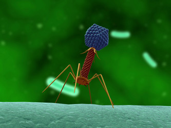 Similar image 8140892