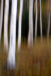 Similar image 8140893