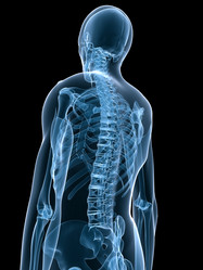 Similar image 8140898