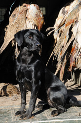 Similar image 8140900