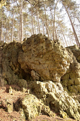 Similar image 8140906