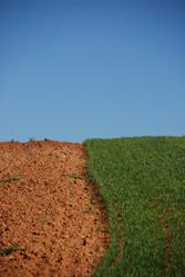 Similar image 8140907