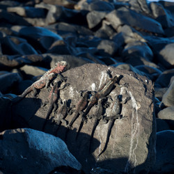 Similar image 8140922